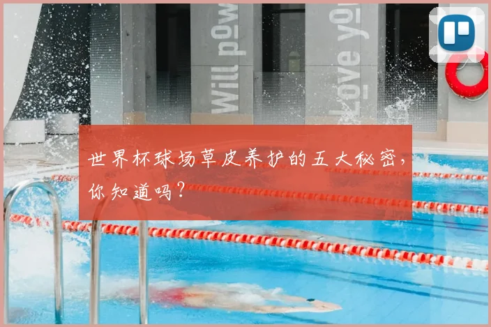 世界杯球场草皮养护的五大秘密，你知道吗？