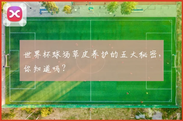 世界杯球场草皮养护的五大秘密，你知道吗？