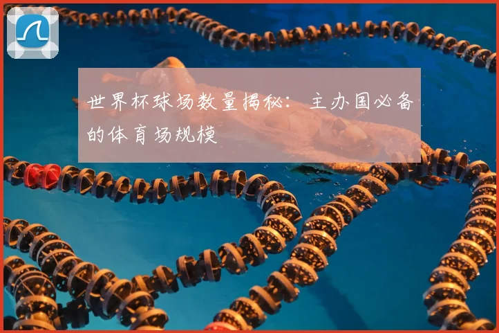 世界杯球场数量揭秘：主办国必备的体育场规模