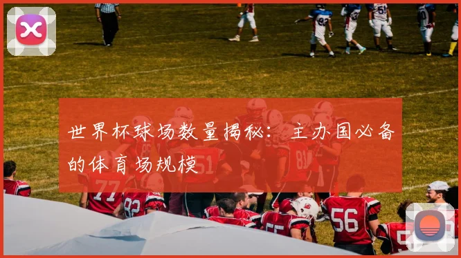 世界杯球场数量揭秘：主办国必备的体育场规模