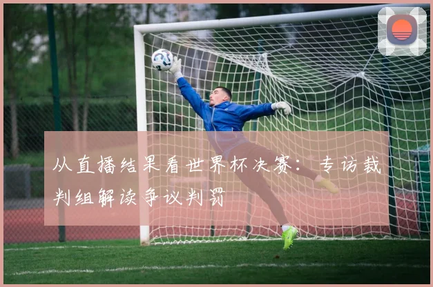 从直播结果看世界杯决赛：专访裁判组解读争议判罚