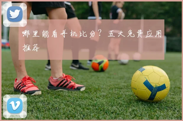 哪里能看手机比分？五大免费应用推荐