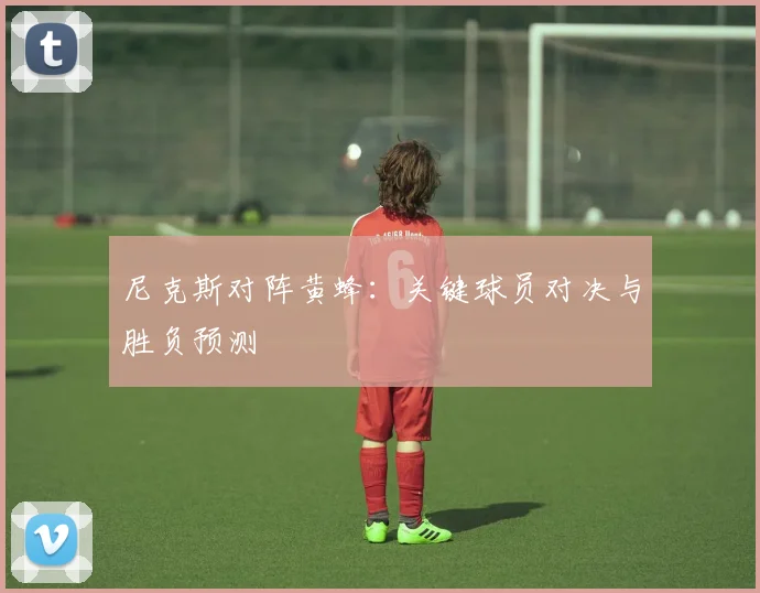 尼克斯对阵黄蜂：关键球员对决与胜负预测