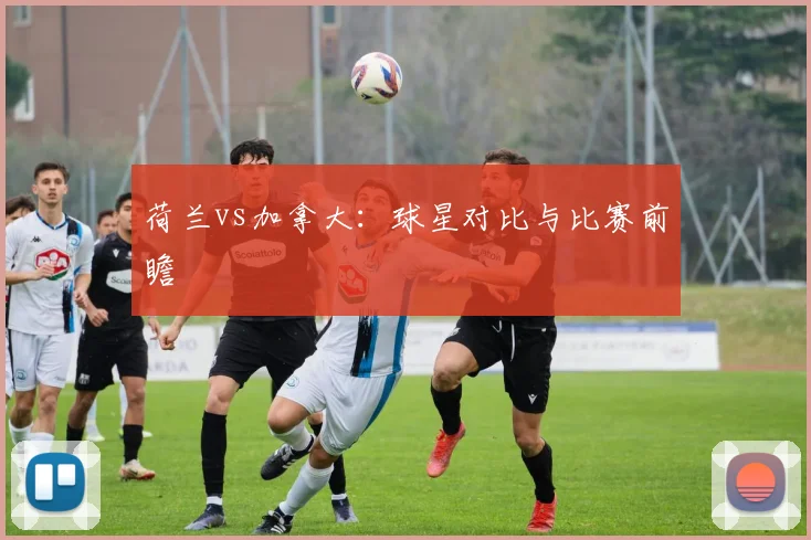 荷兰vs加拿大:球星对比与比赛前瞻
